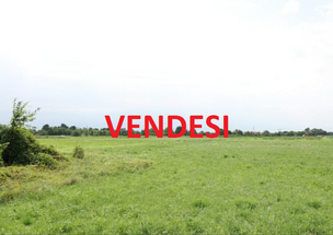 TERRENO EDIFICABILE IN VENDITA A SAN SALVATORE TELESINO in Vendita